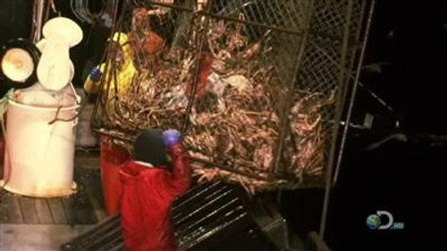 Deadliest Catch Season 6 Episode 2 - Breaking 'Em In