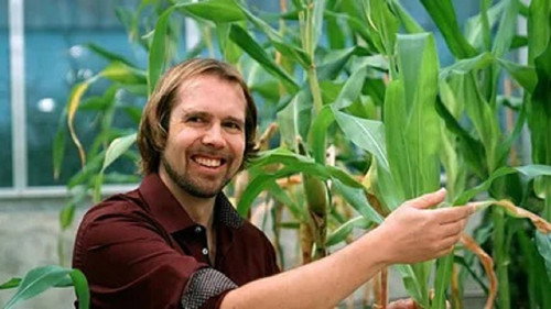 How Do Plants Live? still