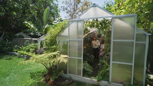 Gardening Australia Season 34 Episode 4 - Episode 4 Women, Garlic, Begonia, Arrernte & Groundcover