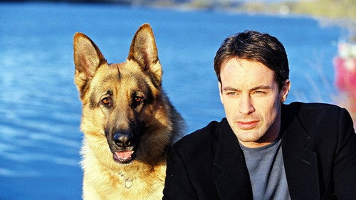 Inspector Rex Season 7 Episode 9 - Death Came Twice