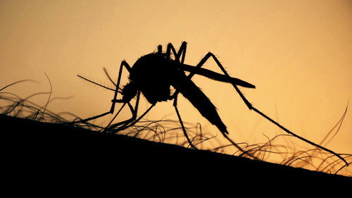 undefined Season 1 Episode 5 - Can We Outsmart Disease?