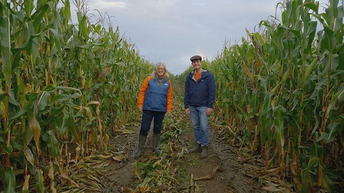 Rare Crop Harvest still