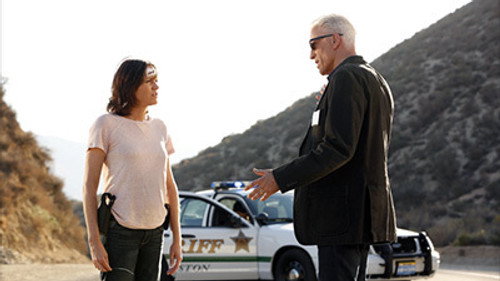 CSI: Crime Scene Investigation Season 14 Episode 10 - Girls Gone Wild