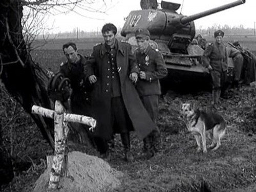 Four Tank-Men and a Dog Season 1 Episode 7 - Rozstajne drogi