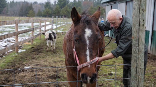 The Incredible Dr. Pol Season 17 Episode 10 - Feliz Navidog