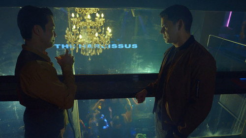 Enter the Narcissus still