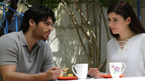 Hangimiz Sevmedik Season 1 Episode 39 - Episode 39