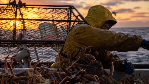 Deadliest Catch Season 20 Episode 4 - Lights Out!