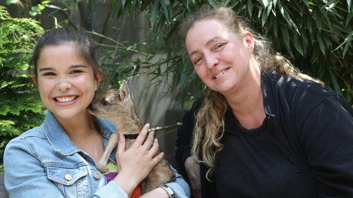 Anna und die wilden Tiere Season 1 Episode 24 - Episode 24