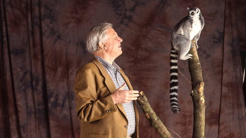 The Life of Mammals Season 1 Episode 3 - Plant Predators
