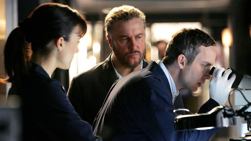 CSI: Crime Scene Investigation Season 8 Episode 13 - A Thousand Days on Earth