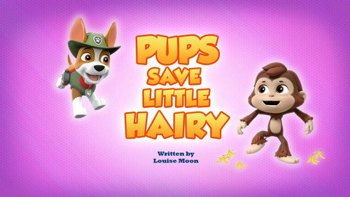 Pups Save Little Hairy still