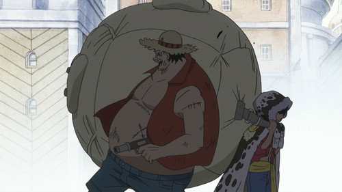 The Beginning of The New Chapter! The Straw Hats Reunited! still