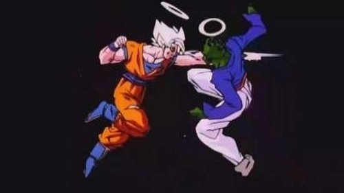 Dragon Ball Z Season 7 Episode 5 - Goku vs. Pikkon