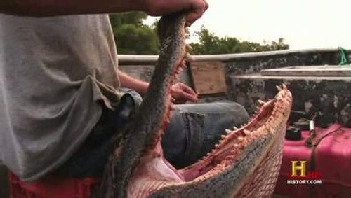 Swamp People Season 1 Episode 9 - Final Countdown
