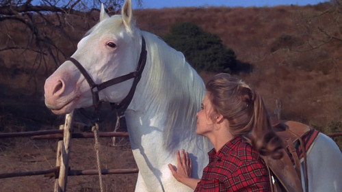 The Virginian Season 5 Episode 11 - Beloved Outlaw