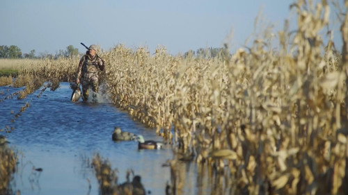 MeatEater Season 9 Episode 6 - South Dakota Ducks