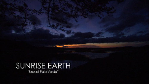 Sunrise Earth Season 3 Episode 2 - Birds of Palo Verde