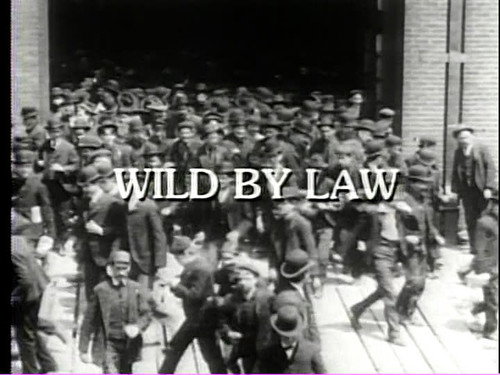 American Experience Season 4 Episode 11 - Wild by Law