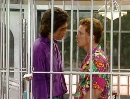 Charles in Charge Season 5 Episode 21 - La Cage Aux Fools
