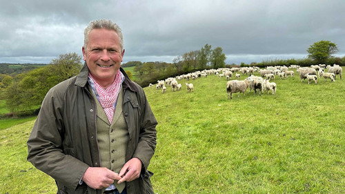 Escape to the Country Season 25 Episode 20 - East Devon Borders