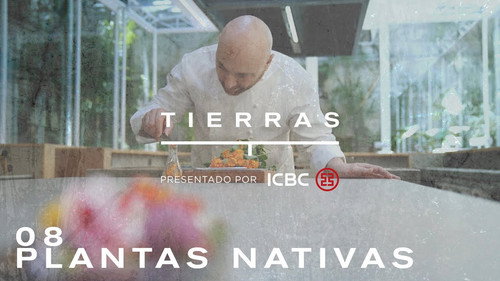 Proyecto Tierras Season 1 Episode 8 - Episode 8