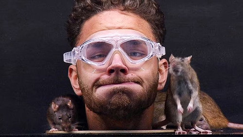 I'm a Celebrity...Get Me Out of Here! Season 16 Episode 9 - Cage Rage