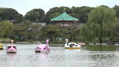 Dive in Tokyo Season 3 Episode 21 - Ueno Park - At the Crossroads of Edo and Meiji