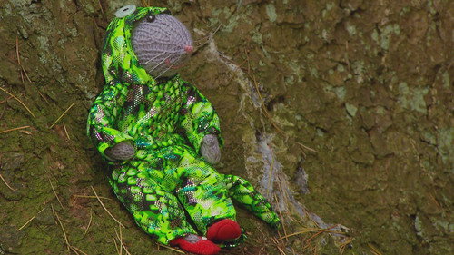 Show Me Show Me Season 6 Episode 6 - Lizards and Fossils
