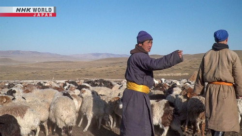 Asia Insight Season 12 Episode 15 - Shaping Sustainable Cashmere: Mongolia