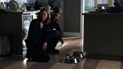 CSI: Crime Scene Investigation Season 6 Episode 9 - Dog Eat Dog