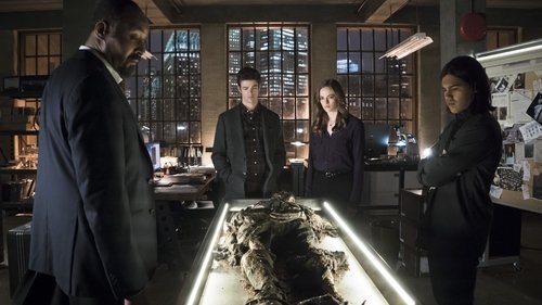 The Flash Season 1 Episode 19 - Who Is Harrison Wells?