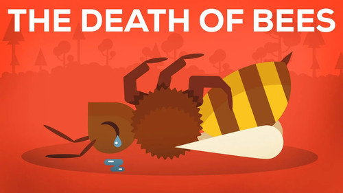 Kurzgesagt - In a Nutshell Season 3 Episode 9 - The Death of Bees Explained — Parasites, Poison and Humans