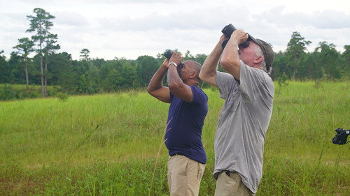Extraordinary Birder with Christian Cooper Season 1 Episode 6 - Alabama