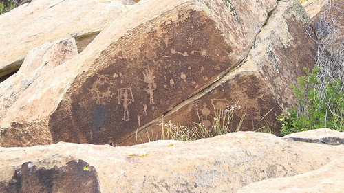 PARK'D with Abby Hornacek Season 6 Episode 5 - Petrified Forest