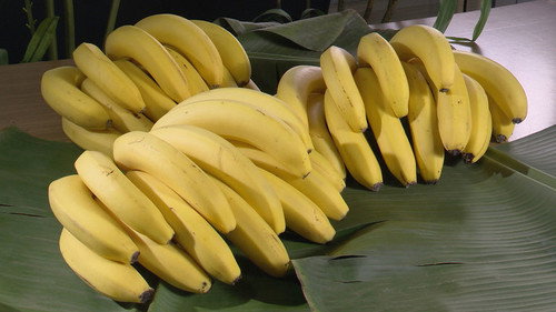 Trails to Oishii Tokyo Season 4 Episode 2 - BANANAS