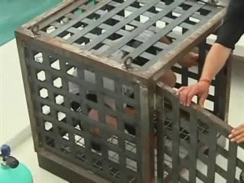 Criss Angel Mindfreak Season 2 Episode 18 - Shark Cage Escape