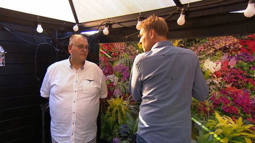 Mr. Frank Visser doet Uitspraak Season 9 Episode 10 - Episode 10