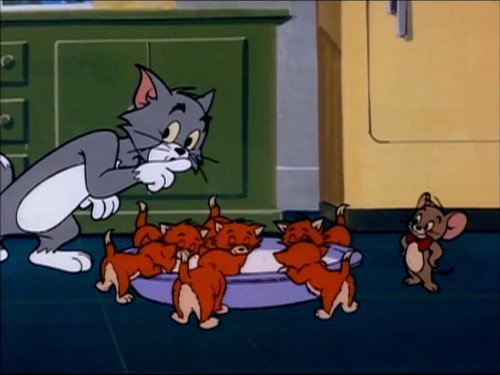 The Tom and Jerry Show Season 1 Episode 19 - The Kitten Sitters