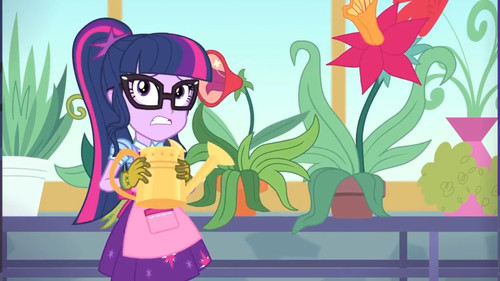 My Little Pony: Equestria Girls - Better Together Season 1 Episode 8 - My Little Shop of Horrors
