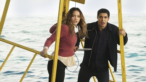 Scorpion Season 3 Episode 15 - Sharknerdo