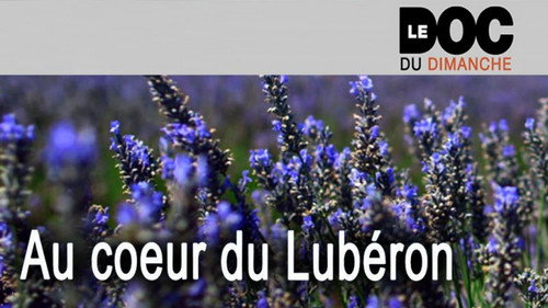 Le Doc du dimanche Season 7 Episode 22 - Episode 22