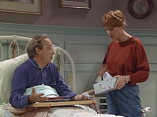 ALF Season 4 Episode 12 - Fever