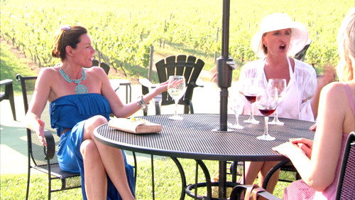 The Real Housewives of New York City Season 6 Episode 8 - Unforgivable Debt