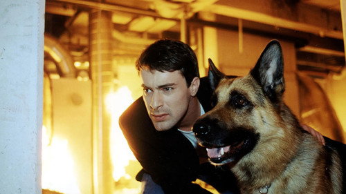 Inspector Rex Season 6 Episode 6 - His Brother's Murderer