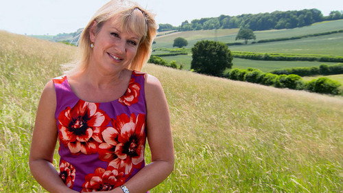 Buckinghamshire still