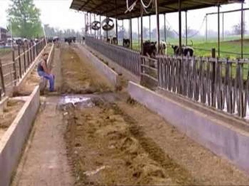 The Simple Life Season 1 Episode 2 - Dairy Farmin' Divas a.k.a. First Day of Work