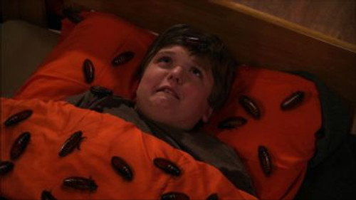 Crash & Bernstein Season 1 Episode 2 - Scaredy Crash