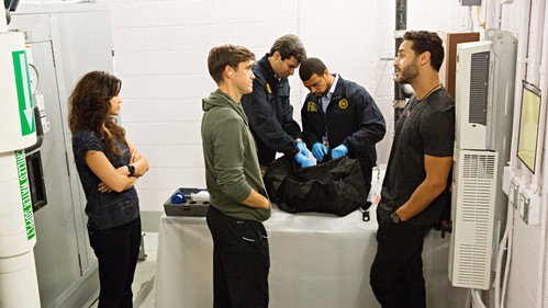 Graceland Season 1 Episode 8 - Bag Man