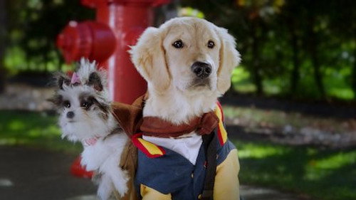 Pup Academy Season 1 Episode 5 - Oopsie!